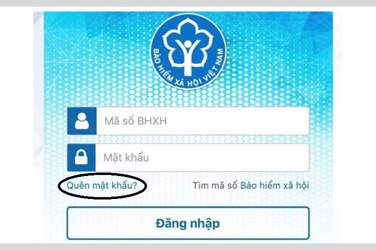lấy lại mật khẩu VssID