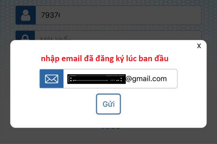 lấy lại mật khẩu VssID